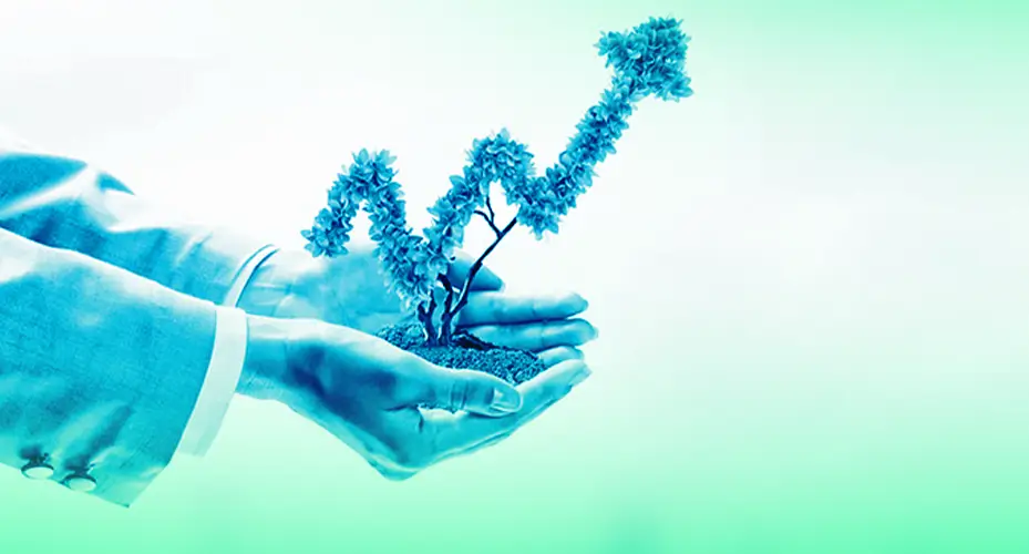 إستراتيجيات النمو العضوي (Organic Growth)